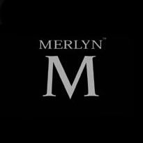 orig merlyn logo